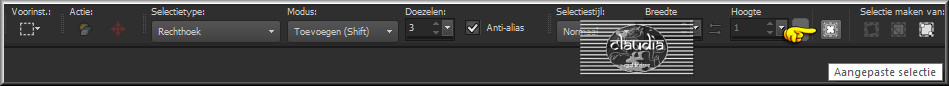 Activeer het Selectiegereedschap (toets S op het toetsenbord) - Aangepaste selectie