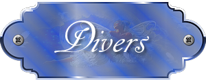 Tag Lessen Divers
