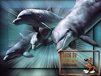 Dolphins-Tubed-By-CGSFDesigns-08-05-2012-Klein
