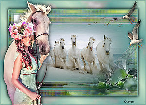Les : White Horses van Catrien