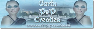 Carin PsP Creaties