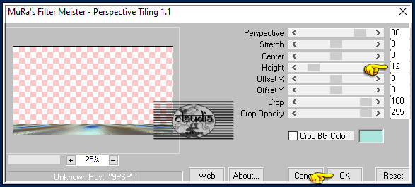 Effecten - Insteekfilters - MuRa's Meister - Perspective Tiling 