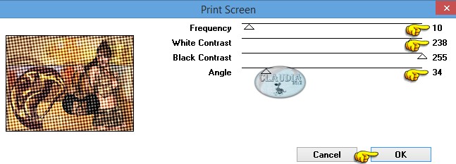 Instellingen filter VM Toolbox - Print Screen