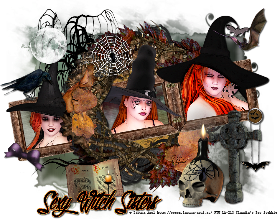 Les : Sexy Witch Sisters van Brigitte