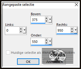 Activeer het Selectiegereedschap (toets S op het toetsenbord) - Aangepaste selectie