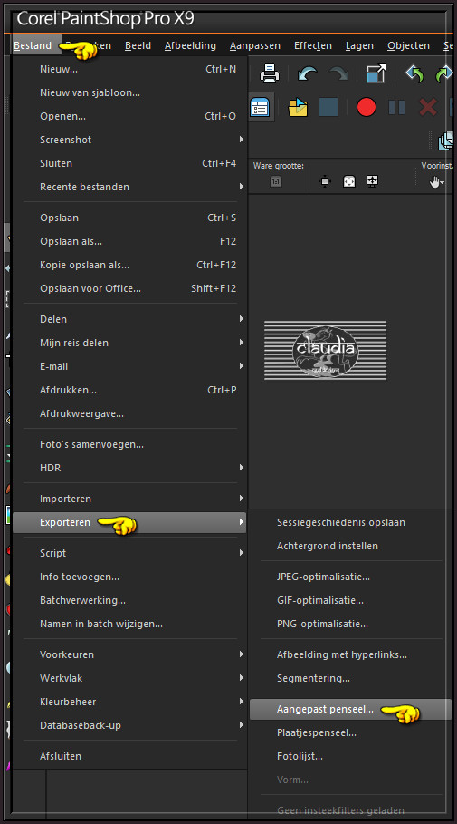 Bestand - Exporteren - Aangepast penseel 