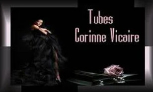 Banner Corinne Vicaire