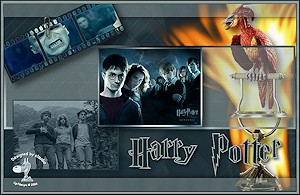 Les : Harry Potter van Claudia