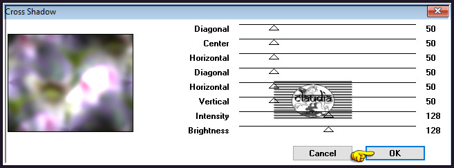 Effecten - Insteekfilters - Graphics Plus - Cross Shadow