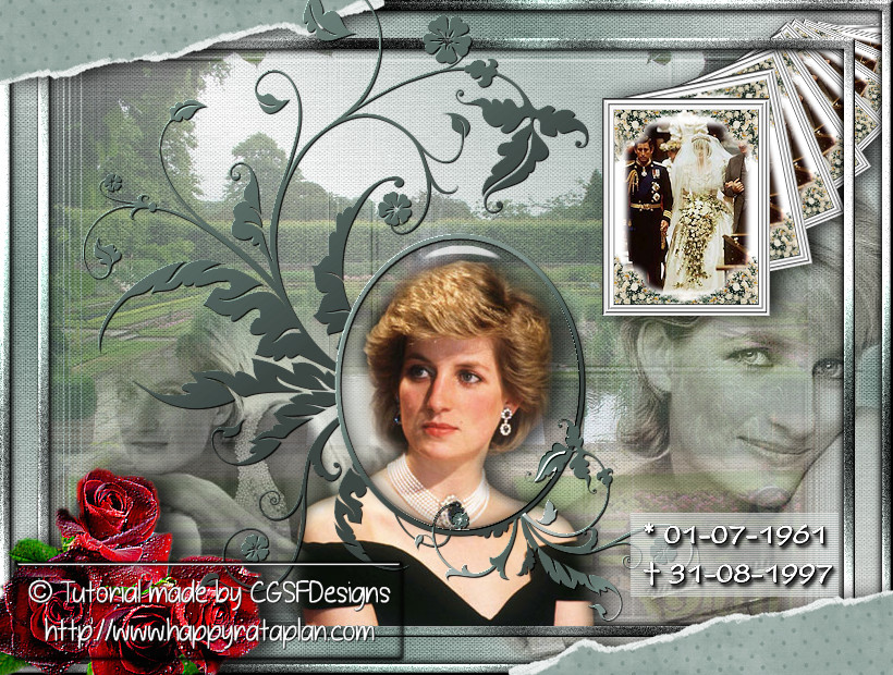 Les : Tribute to Diana - Princess of Wales van Claudia