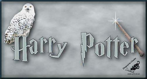Titel Les 9 : Harry Potter