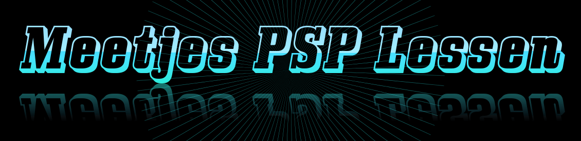 Meetjes PSP Lessen