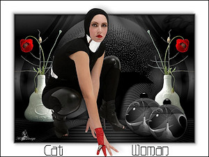 Les : Catwoman van Meetje