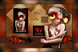 Les : Miss Calla van Meetje