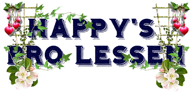 Happy's Pro Lessen banner