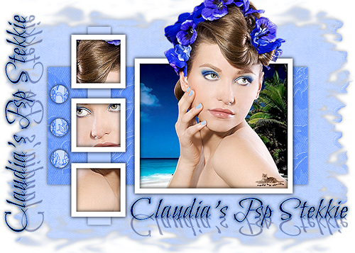 Claudia's PSP Stekkie