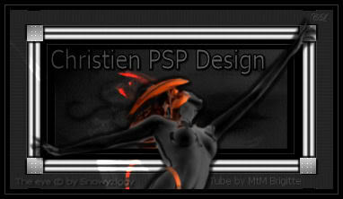 Christien PSP Design