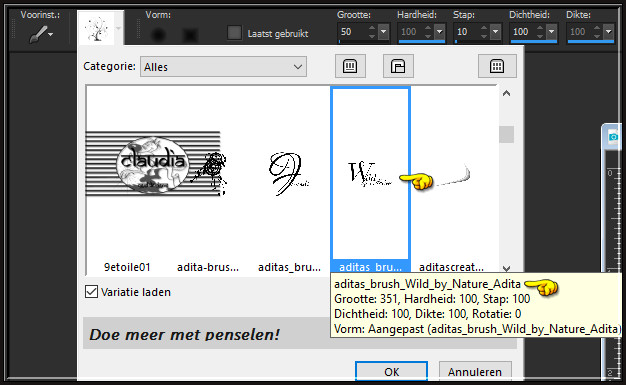 Activeer het "Penseelgereedschap" en zoek de Brushe "aditas_brush_Wild_by_Nature_Adita" met deze instellingen