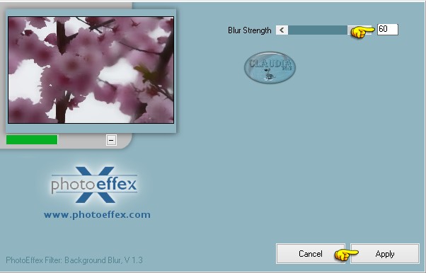 Instelling filter PhotoEffex - Background Blur 