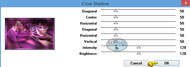 Instellingen filter Graphics Plus - Cross Shadow