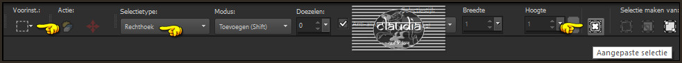 Activeer het Selectiegereedschap (toets S op het toetsenbord) - Aangepaste selectie