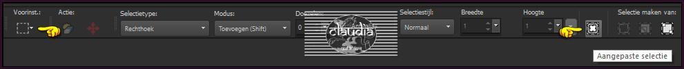 Activeer het Selectiegereedschap (toets S op het toetsenbord) - Aangepaste selectie