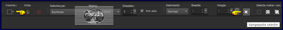 Activeer het Selectiegereedschap (toets S op het toetsenbord) - Aangepaste selectie