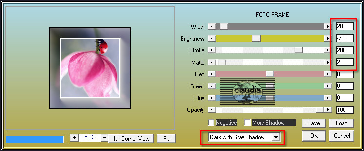 Effecten - Insteekfilters - AAA Frames - Foto Frame 