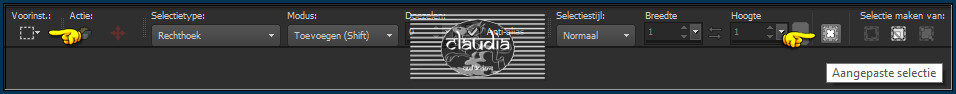 Activeer het Selectiegereedschap (toets S op het toetsenbord) - Aangepaste selectie