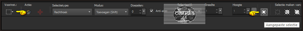Activeer het Selectiegereedschap (toets S op het toetsenbord) - Aangepaste selectie 