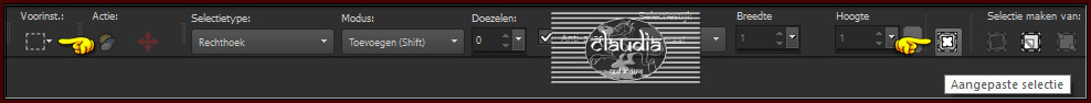 Activeer het Selectiegereedschap (toets S op het toetsenbord) - Aangepaste selectie