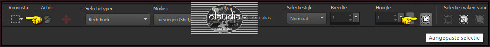 Activeer het Selectiegereedschap (toets S op het toetsenbord) - Aangepaste selectie