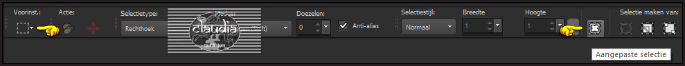 Activeer het Selectiegereedschap (toets S op het toetsenbord) - Aangepaste selectie