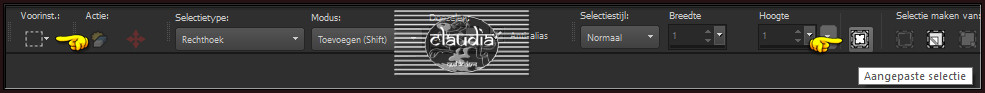 Activeer het Selectiegereedschap (toets S op het toetsenbord) - Aangepaste selectie
