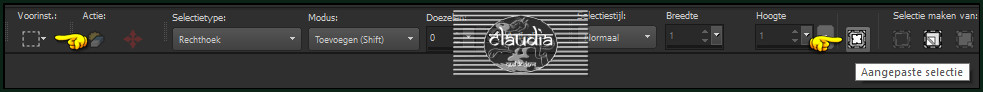 Activeer het Selectiegereedschap (toets S op het toetsenbord) - Aangepaste selectie