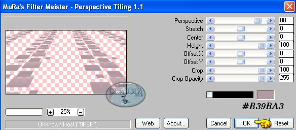 Instellingen filter MuRa's Meister - Perspective Tiling