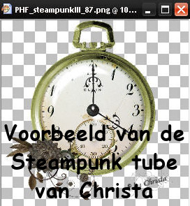 Voorbeeld van de Steampunk tube van Christa