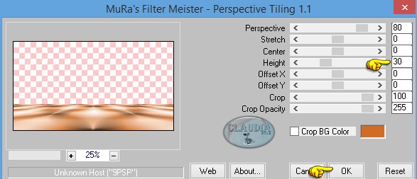 Instellingen filter MuRa's Meister - Perspective Tiling 