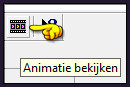 Bekijk de animatie door op dit icoontje te klikken