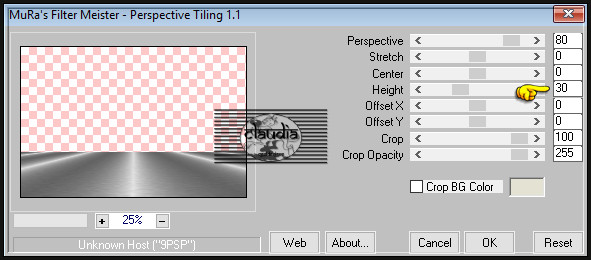 Effecten - Insteekfilters - MuRa's Meister - Perspective Tiling : 2 x toepassen !!!