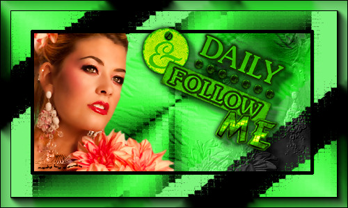 Titel Les : Daily Follow Me van Christa
