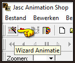 Klik op de button "Wizard Animatie"