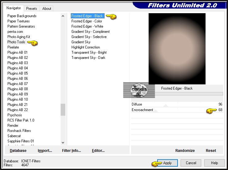 Effecten - Insteekfilters - <I.C.NET Software> - Filters Unlimited 2.0 - Photo Tools - Frosted Edger - Black :
