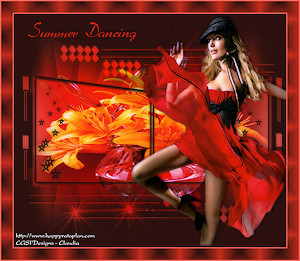 Les : Summer Dancing van Christa