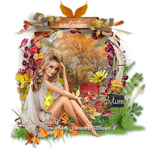 Les : Sweet Autumn van Belinda