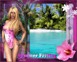 Les : Summer Feeling van Brigitte