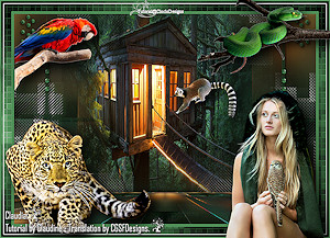 Les : Vacances dans la Jungle van Claudine
