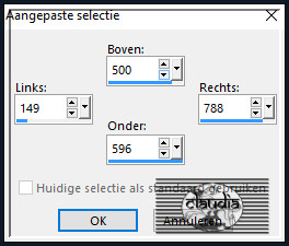 Activeer het Selectiegereedschap (toets S op het toetsenbord) - Aangepaste selectie en voer deze getallen in