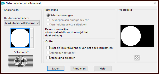 Selecties - Selectie laden/opslaan - Selectie laden uit alfakanaal : Sélection #5