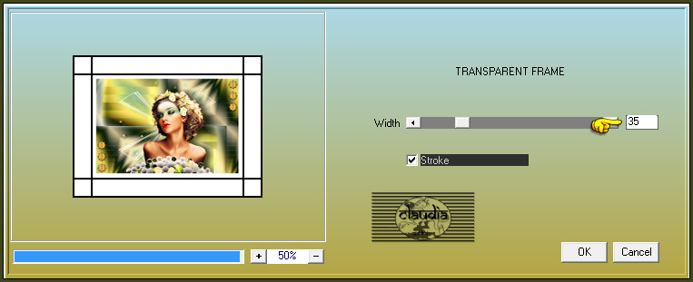 Effecten - Insteekfilters - AAA Filters - Transparant frame